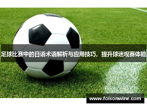 足球比赛中的日语术语解析与应用技巧，提升球迷观赛体验